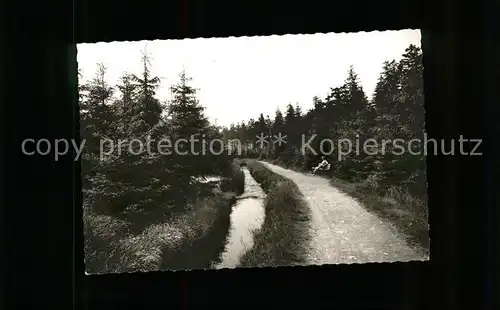 Altenau Harz Partie am Dammgraben Waldweg Kat. Altenau