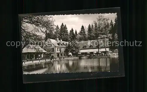 Leopoldstal Lippe Waldrestaurant Pension "Silbermuehle" Kat. Horn Bad Meinberg