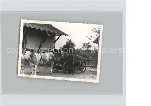 Riedlingen Wuerttemberg Kuh Wagen Faesser Bauer mit Kind Kat. Riedlingen