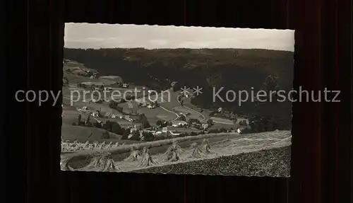 Warmensteinach Hoehenluftkurort Kat. Warmensteinach Fichtelgebirge