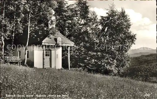 Boebrach Kapelle Maria am Stein Kat. Boebrach