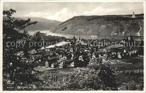 Bingen Rhein Panorama am Rhein Kat. Bingen am Rhein