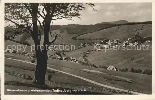 Todtnauberg Panorama Kat. Todtnau