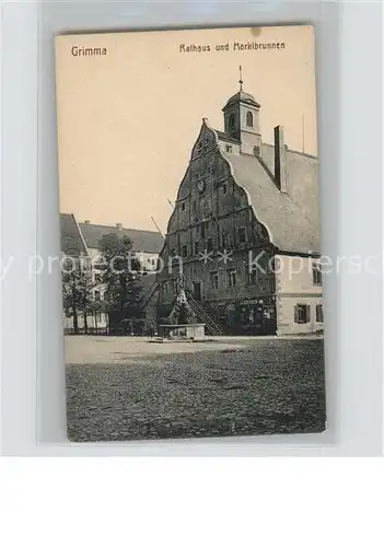 Grimma Rathaus und Marktbrunnen Kat. Grimma