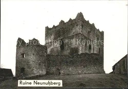 Wiesing Viechtach Ruine Neunussberg Kat. Viechtach