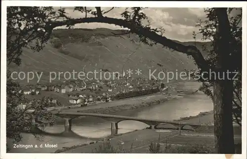 Zeltingen-Rachtig Mosel-Panorama mit Bruecke / Zeltingen-Rachtig /Bernkastel-Wittlich LKR