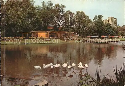 Stuttgart Bundesgartenschau April bis Oktober 1961 Flamingos Kat. Stuttgart