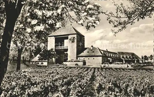 Schweigen-Rechtenbach Weintor Gaststaette / Schweigen-Rechtenbach /Suedliche Weinstrasse LKR