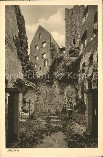 Wertheim Main Aus der Schlossruine Kat. Wertheim