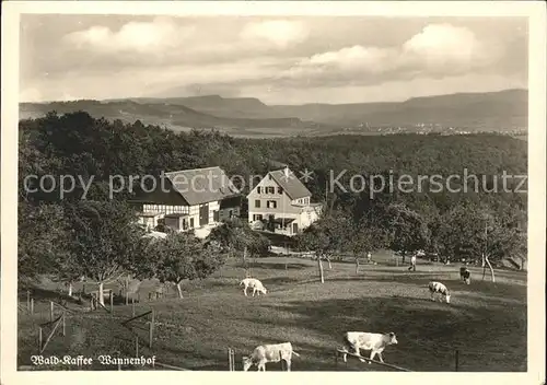 Hohenstaufen Wald-Cafe Wannenhof Kuehe / Goeppingen /Goeppingen LKR