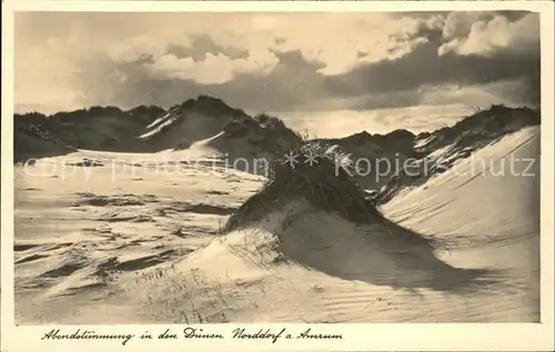 Norddorf Amrum Abendstimmung in den Duenen Kat. Norddorf