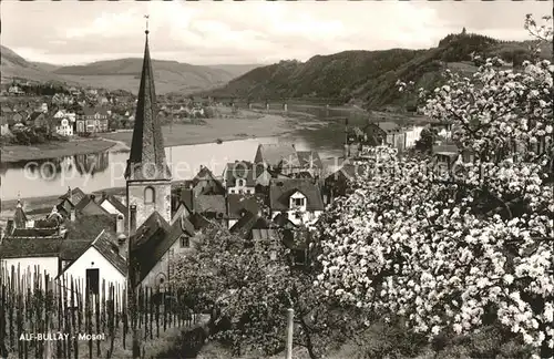 Bullay Mosel Moselpanorama Alf Kat. Bullay