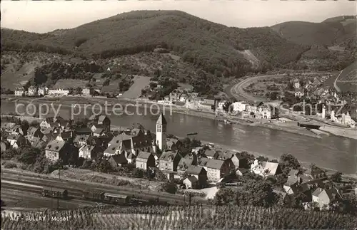 Bullay Mosel Moselpanorama Kat. Bullay