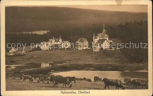 Hahnenklee Bockswiese Harz Teilansicht Kat. Goslar