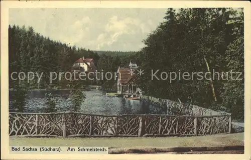 Bad Sachsa Harz Partie am Schmelzteich (Feldpost) Kat. Bad Sachsa