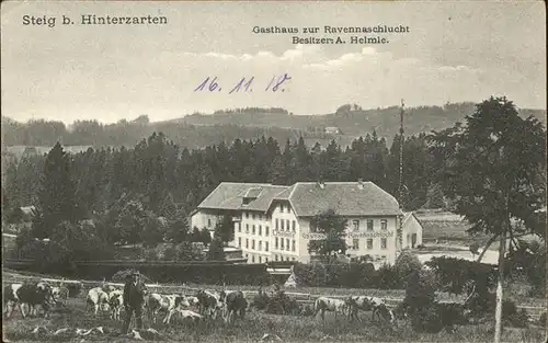 Steig Hinterzarten Gasthaus Pension zur Ravennaschlucht Viehherde