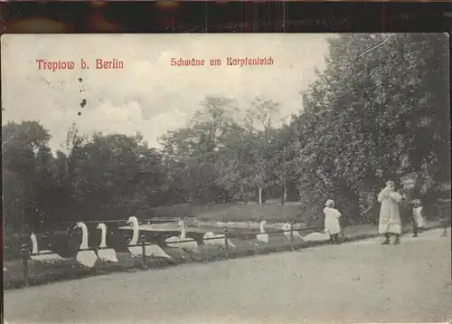 Treptow Berlin Schwaene am Karpfenteich / Berlin /Berlin Stadtkreis