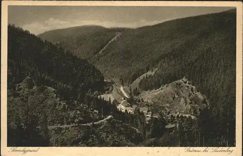 Gruenau Leutenberg Sormitzgrund / Leutenberg /Saalfeld-Rudolstadt LKR