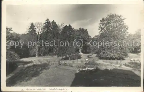 Waldrogaesen Wuestenjerichow Park beim Genesungsheim