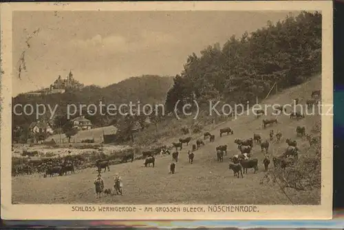 Wernigerode Noeschenrode Am Grossen Bleeck mit Kuehen u.Blick auf das Schloss