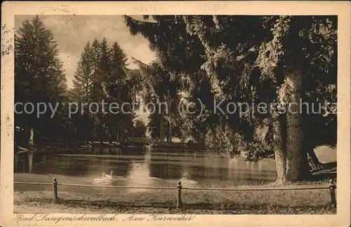 Langenschwalbach Partie am Kurweiher Schwan Kat. Bad Schwalbach