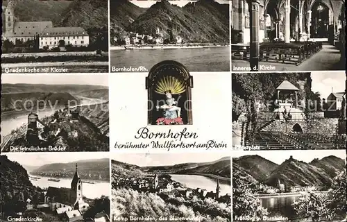 Kamp-Bornhofen Gnadenkirche Kloster Die feindlichen Brueder Burgen Pilgerplatz Wallfahrtsort Fruehlingsbluete / Kamp-Bornhofen /Rhein-Lahn-Kreis LKR