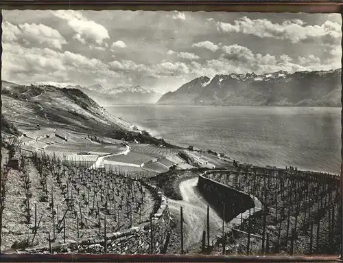 kk08655 Lavaux VD Lac Leman Kategorie.  Alte Ansichtskarten