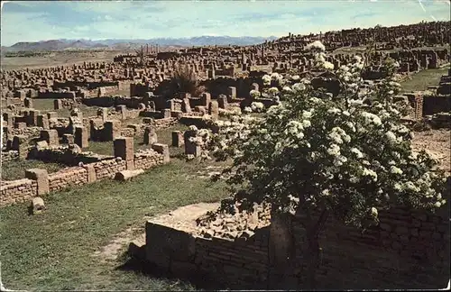 Timgad Les ruines vue generale Kat. Algerien