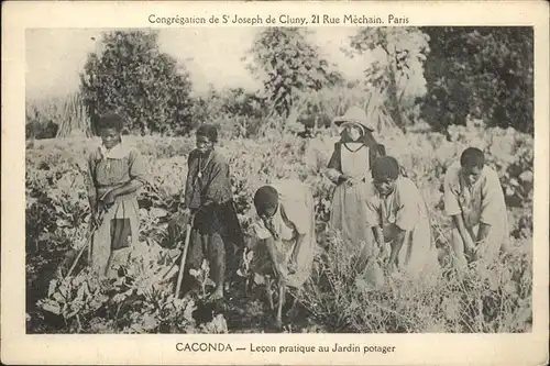 Caconda Angola Lecon pratique au Jardin potager / Angola /