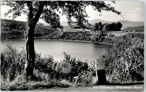 Daun Eifel Daun Totenmaar * / Daun /Vulkaneifel LKR