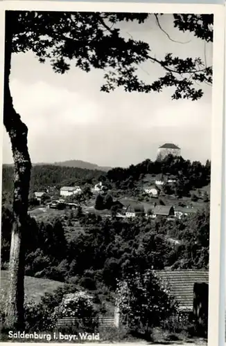 Saldenburg Saldenburg  * / Saldenburg /Freyung-Grafenau LKR