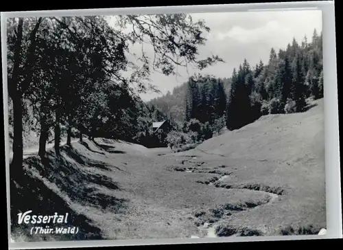 Schmiedefeld Rennsteig Schmiedefeld Rennsteig [Foto] Kupfer * / Schmiedefeld Rennsteig /Ilm-Kreis LKR