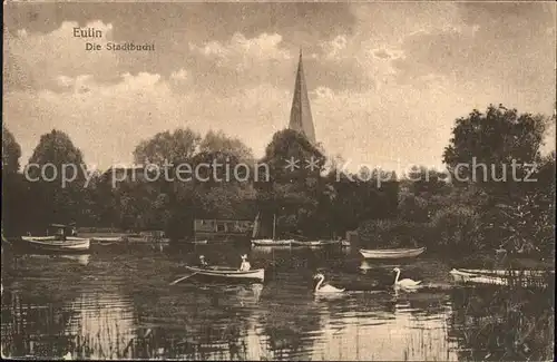 Eutin Stadtbucht Schwaene / Eutin /Ostholstein LKR