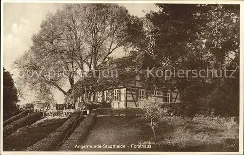 Angermuende Stadtheide Forsthaus / Angermuende /Uckermark LKR