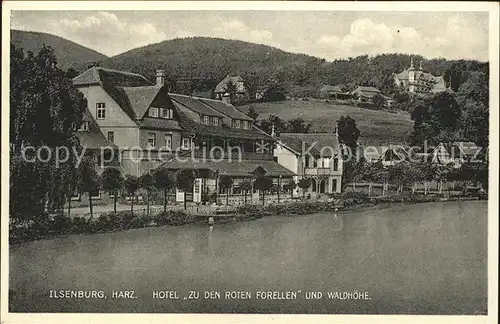 Ilsenburg Harz Hotel zu den roten Forellen und Waldmuehle / Ilsenburg Harz /Harz LKR