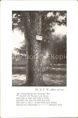 Bad Mergentheim Baum mit Herren Schild / Bad Mergentheim /Main-Tauber-Kreis LKR