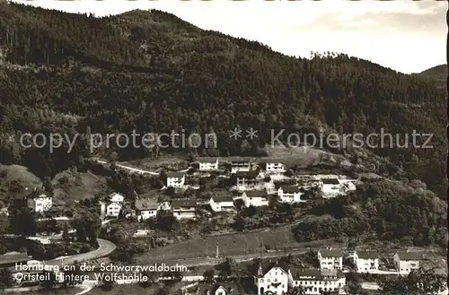 Hornberg Schwarzwald Hintere Wolfshoehle / Hornberg /Ortenaukreis LKR