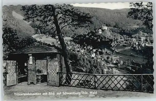 Schwarzburg Thueringer Wald Schwarzburg  x / Schwarzburg /Saalfeld-Rudolstadt LKR