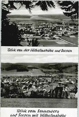 Seesen Harz Seesen Wilhelmshoehe Sonnenberg * / Seesen /Goslar LKR