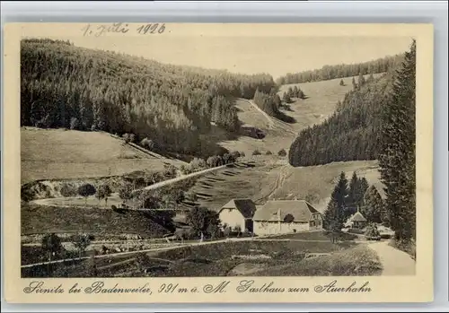 Sirnitz Sirnitz Gasthaus zum Auerhahn * / Badenweiler /Breisgau-Hochschwarzwald LKR