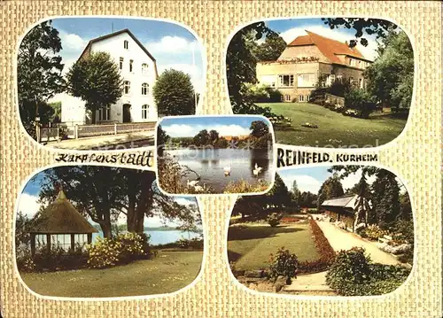 Reinfeld Holstein Kurheim Pavillon Park Schwanenteich Karpfenstadt Kat. Reinfeld (Holstein)