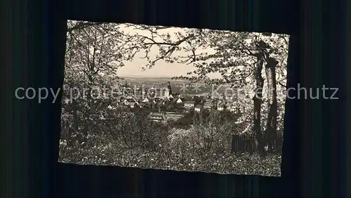 Winnenden Panorama Kat. Winnenden