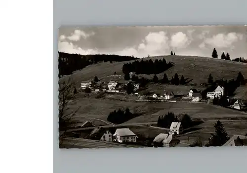 Altglashuetten  / Feldberg (Schwarzwald) /Breisgau-Hochschwarzwald LKR