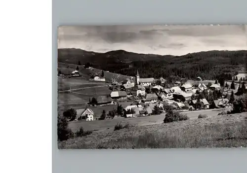 Altglashuetten  / Feldberg (Schwarzwald) /Breisgau-Hochschwarzwald LKR