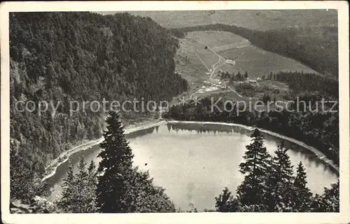 Feldberg Schwarzwald Feldsee Kat. Feldberg (Schwarzwald)