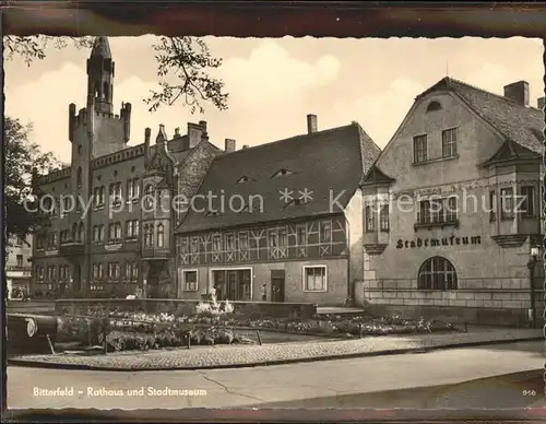 Bitterfeld Rathaus u.Stadtmuseum Kat. Bitterfeld