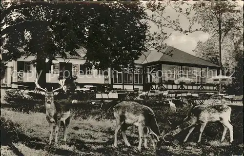 Braunfels Forsthaus im Tiergarten Wildgehege Kat. Braunfels