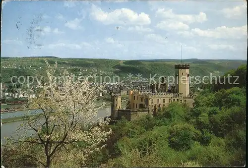 Stolzenfels Schloss Stolzenfels Baumbluete Kat. Koblenz