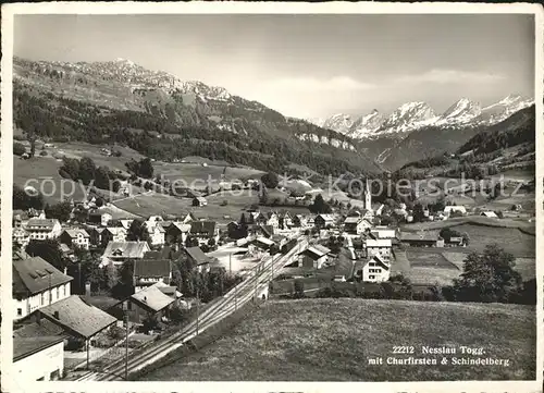 Nesslau Panorama mit Churfirsten und Schindelberg Kat. Nesslau