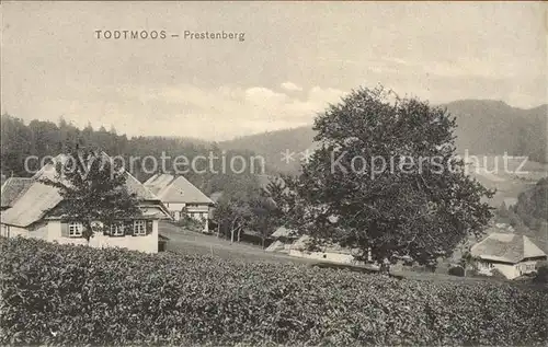 Todtmoos Prestenberg / Todtmoos /Waldshut LKR